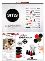 Síða 19