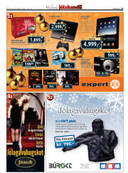 Síða 21
