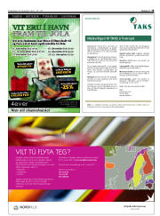 Síða 15