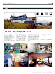 Síða 19