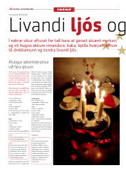 Síða 10