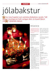 Síða 11