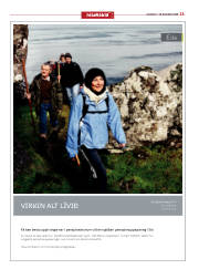 Síða 13