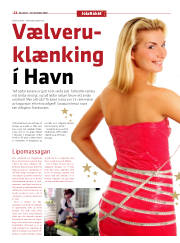 Síða 22