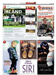 Síða 11