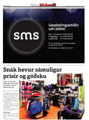 Síða 12