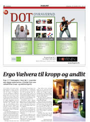 Síða 20