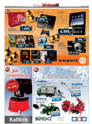Síða 21