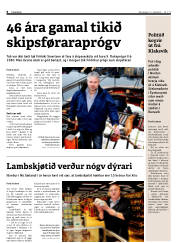 Síða 6