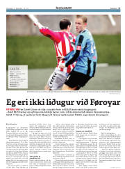 Síða 17