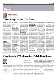 Síða 29