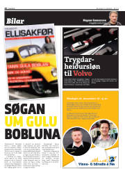 Síða 38