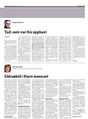 Síða 17