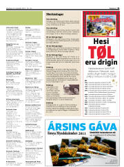 Síða 31