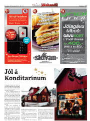 Síða 17