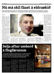 Síða 8