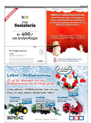 Síða 15