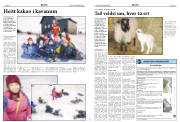 Síða 8