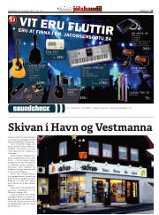 Síða 17