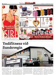Síða 20