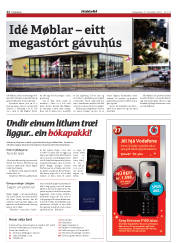Síða 22