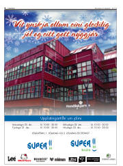 Síða 8