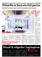 Síða 15