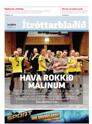 Síða 17