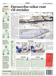 Síða 15