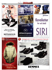Síða 6