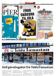 Síða 14