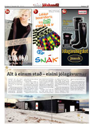 Síða 17