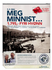 Síða 3