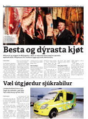 Síða 4