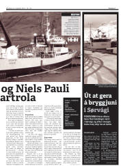 Síða 15