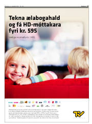 Síða 17