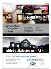 Síða 19