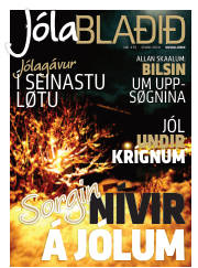 Síða 1
