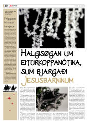 Síða 20