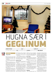 Síða 8