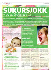 Síða 22