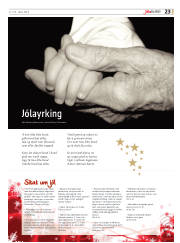 Síða 23
