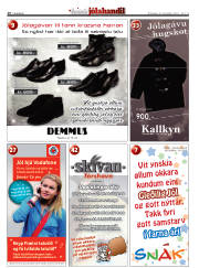 Síða 16