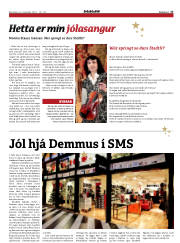 Síða 17