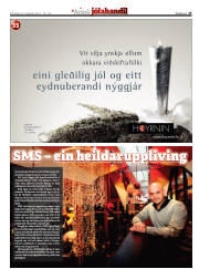 Síða 25