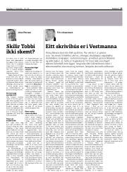 Síða 17