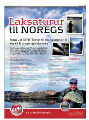 Síða 27