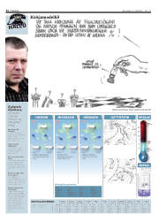 Síða 32