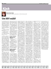 Síða 20