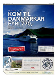 Síða 25